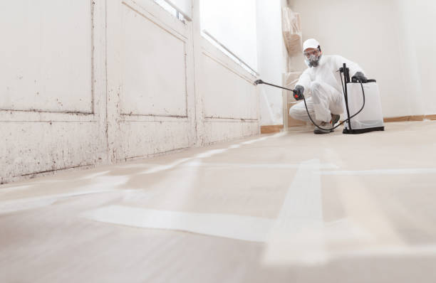24/7 Emergency Mold Remediation experts in North Richland Hills, TX