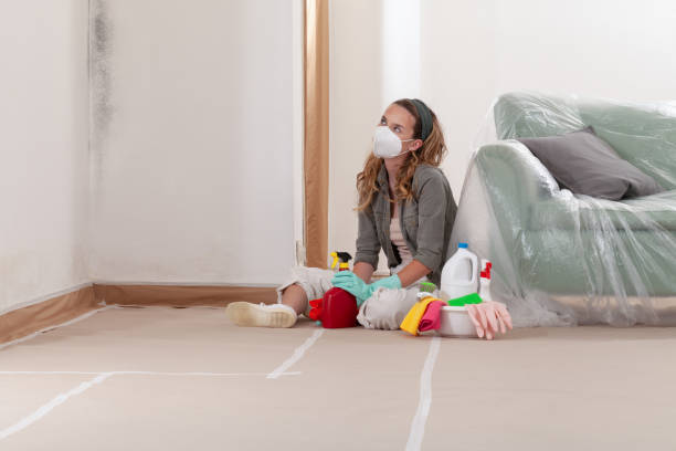 Reliable Mold Remediation contractor in North Richland Hills, TX by Car Mold Remediation